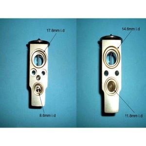 Expansion Valve Citroen Xsara Picasso 2.0 Petrol (Nov 2002 to 2023)